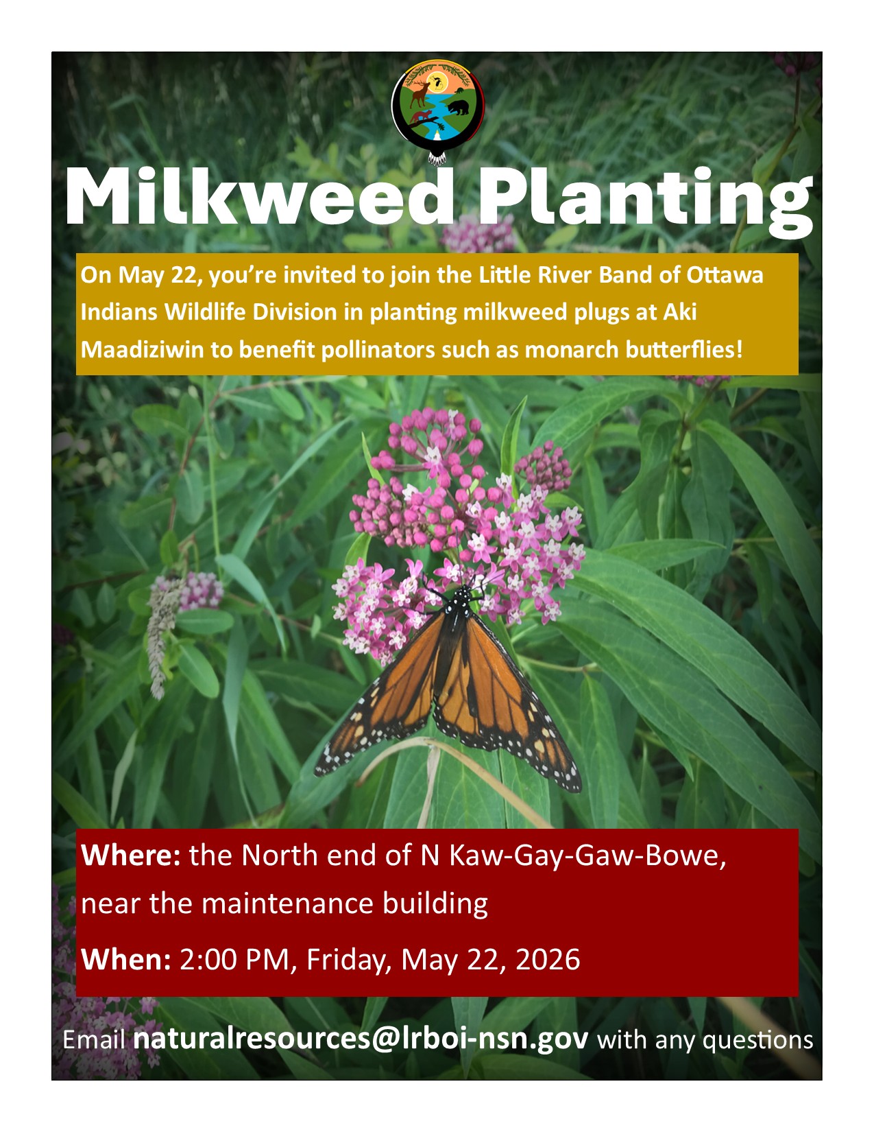 Milkweed Planting