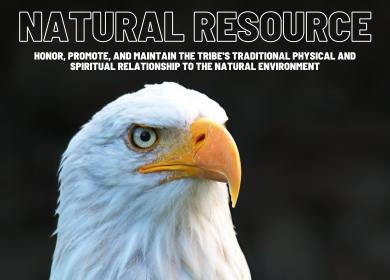 Natural Resource Photo