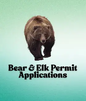 2025 Bear Icon for permits